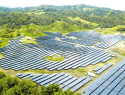 Strategi Bisnis Berbasis Audit Lingkungan Guna Memenuhi Standar Industri Hijau Yang Ketat